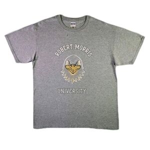 Vintage Robert Morris Colonials Shirt Large Gray Y2K NCAA Collegiate Retro Tee